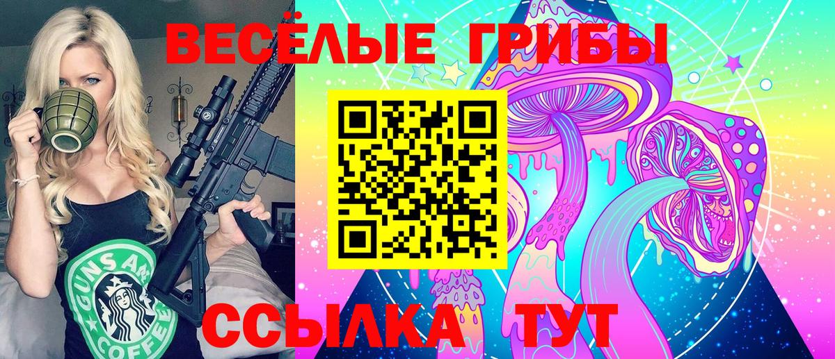 Псилоцибиновые грибы ЛСД Светлоград