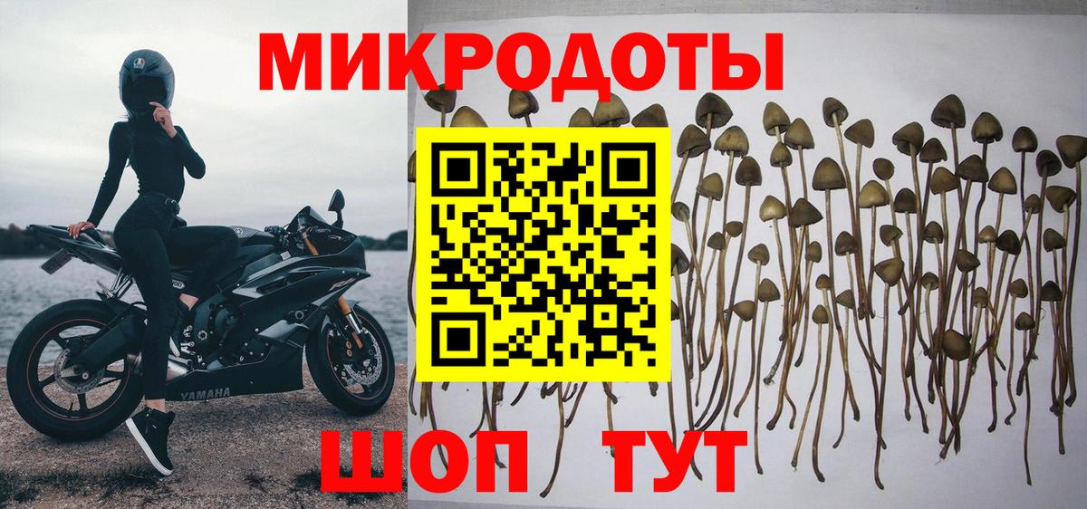 Светлоград  Псилоцибиновые грибы MAGIC MUSHROOMS  Вход с VPN 
